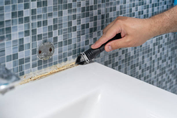 Best Black Mold Remediation in Camden, OH